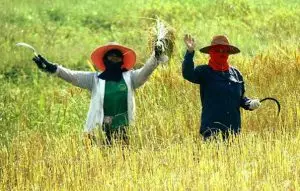 Happiness Techniques