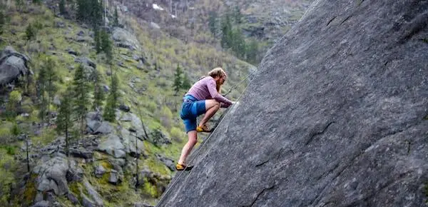 Self-Determination Theory and Goals