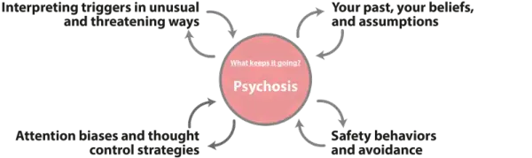 Psychosis Maintenance Diagram