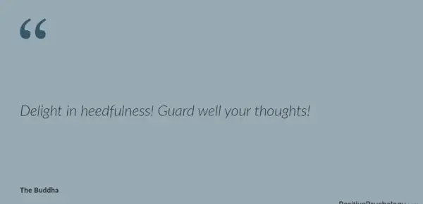 Delight in heedfulness