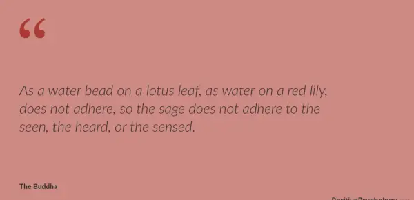 The sage does not adhere to the seen