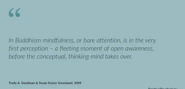 Mindfulness is bare attention