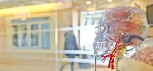 The future of gratitude research