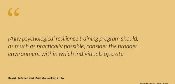 Fletcher and Sarkar Resilience Training Program Quote