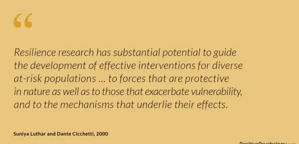 Luthar and Cicchetti Quote