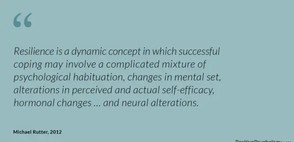 Rutter Resilience Dynamic Concept Quote