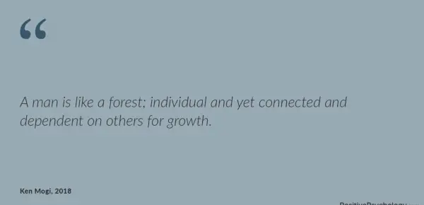 A man is like a forest