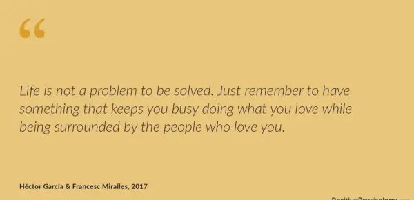 Life is not a problem