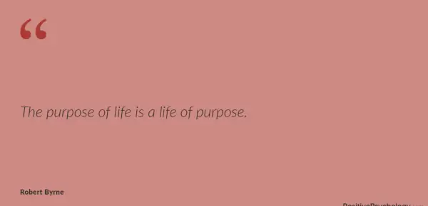 The purpose of life