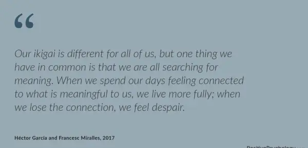 Our ikigai is different