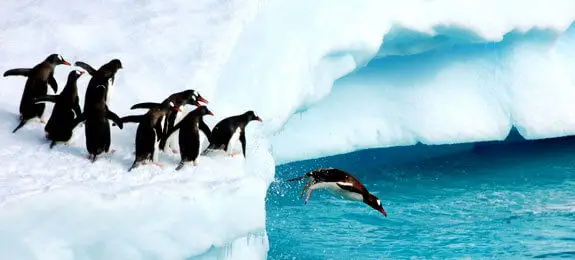 resilience and leadership at work