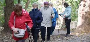 Group walks for the elderly
