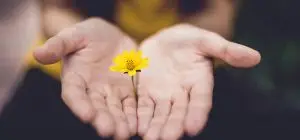 uporabnapsihologija.com