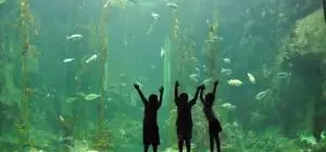 Foster healthy coping mechanisms