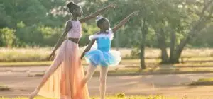 Therapeutic Relationship Model