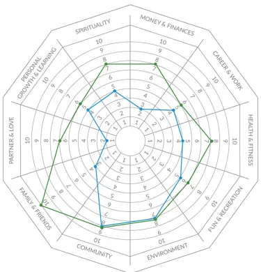 wheel of life exercises
