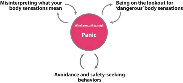 Panic Maintenance Diagram