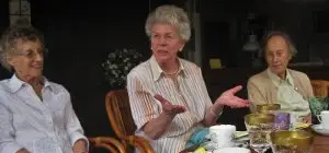 Cognitive decline assessme