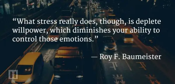 Roy F. Baumeister Positive Psychology Quotes