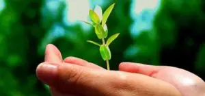 difference between positive psychology coaching and life coaching