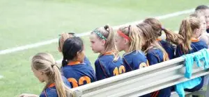 Role of school counselor