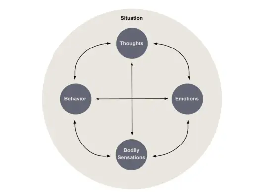 Situational Formulation Cycle
